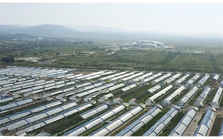 野馬圖村設施農業(yè)建設項目蔬菜基地排污管網(wǎng)工程